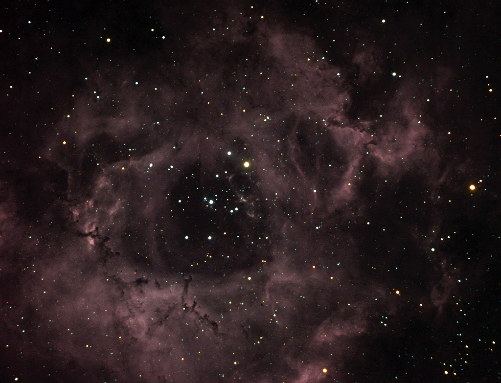 Rosette Nebula