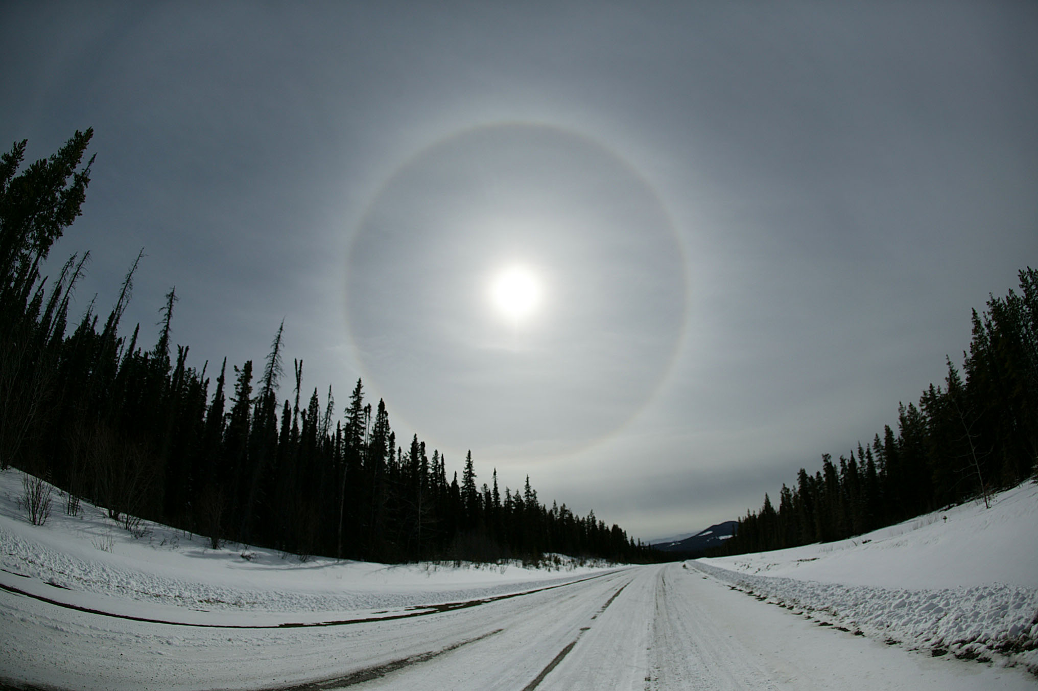 Sundogs image
