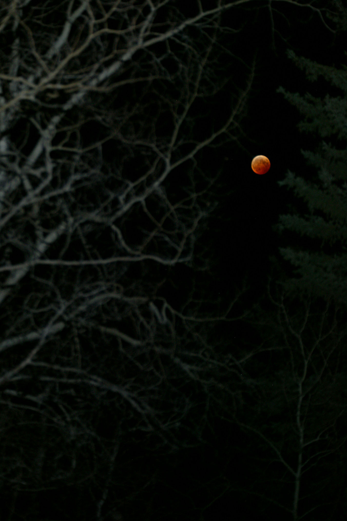 Halloween Eclipse image