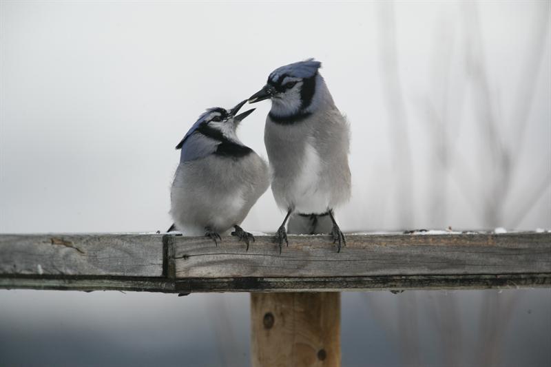 Love is in the air!!! image