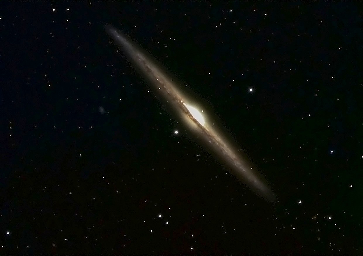 NGC 4565