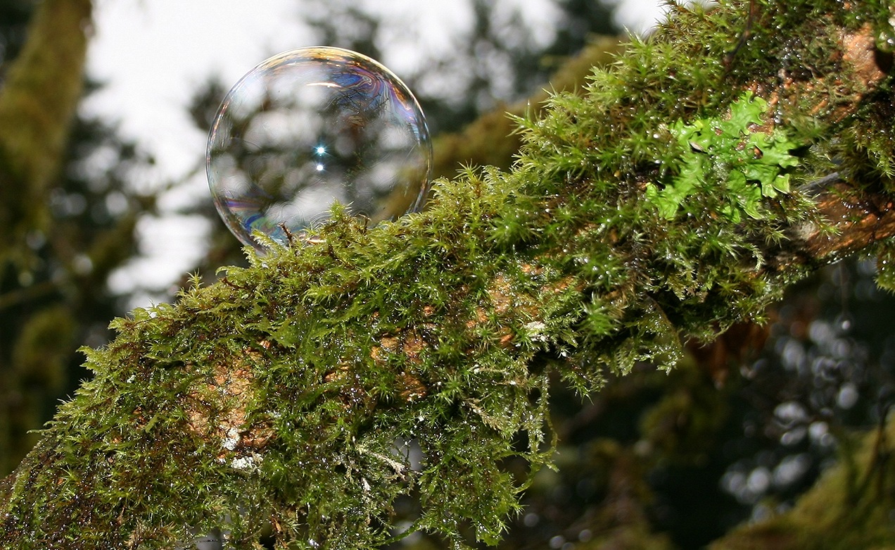 Fun with bubbles