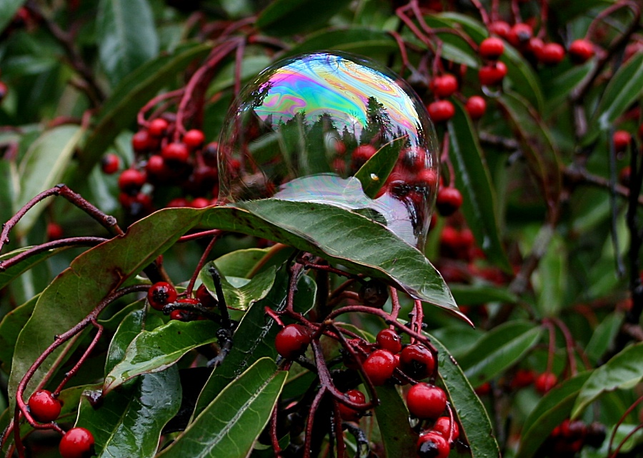 More fun with bubbles