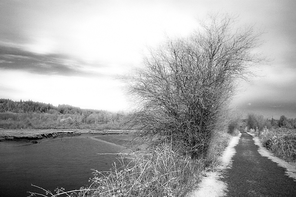 Inlet in Infrared