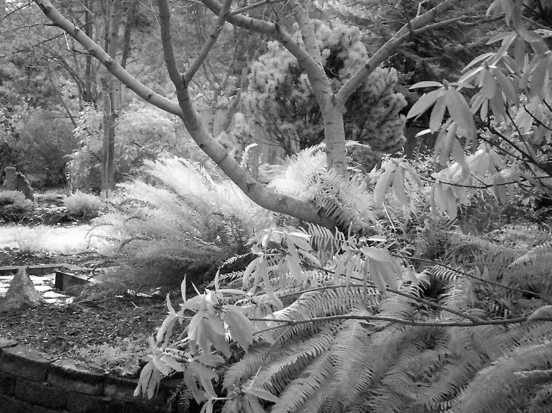 Infrared