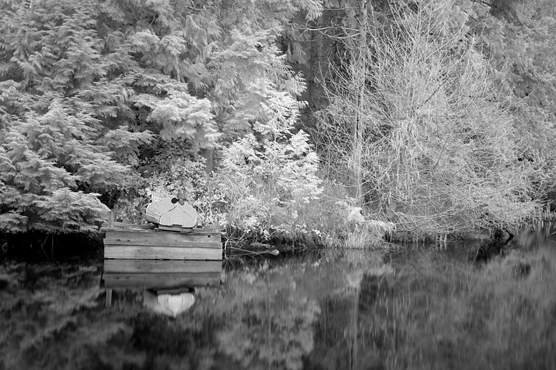 Pond In Infrared