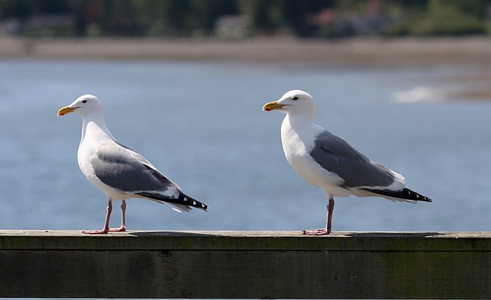 Get our good side