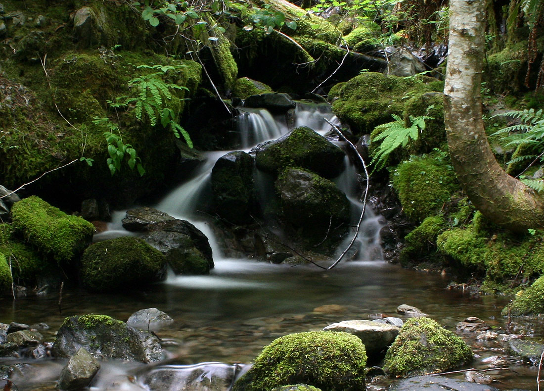 Waterfall