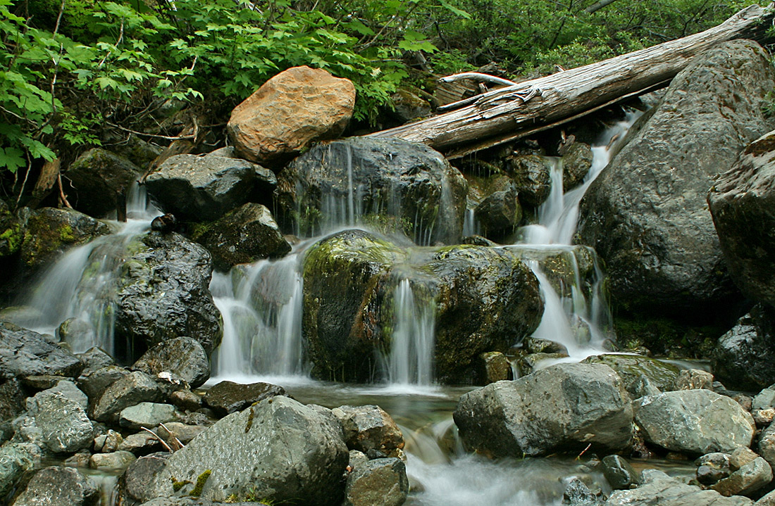 Water