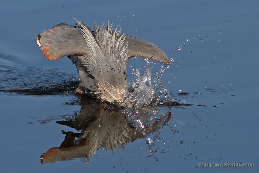 Spear fishing