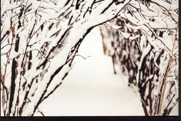 white tunnel