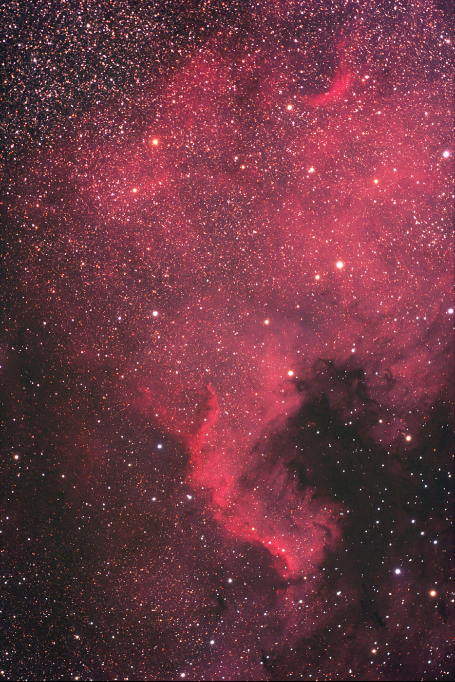 NGC 7000