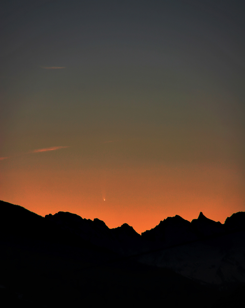 McNaught