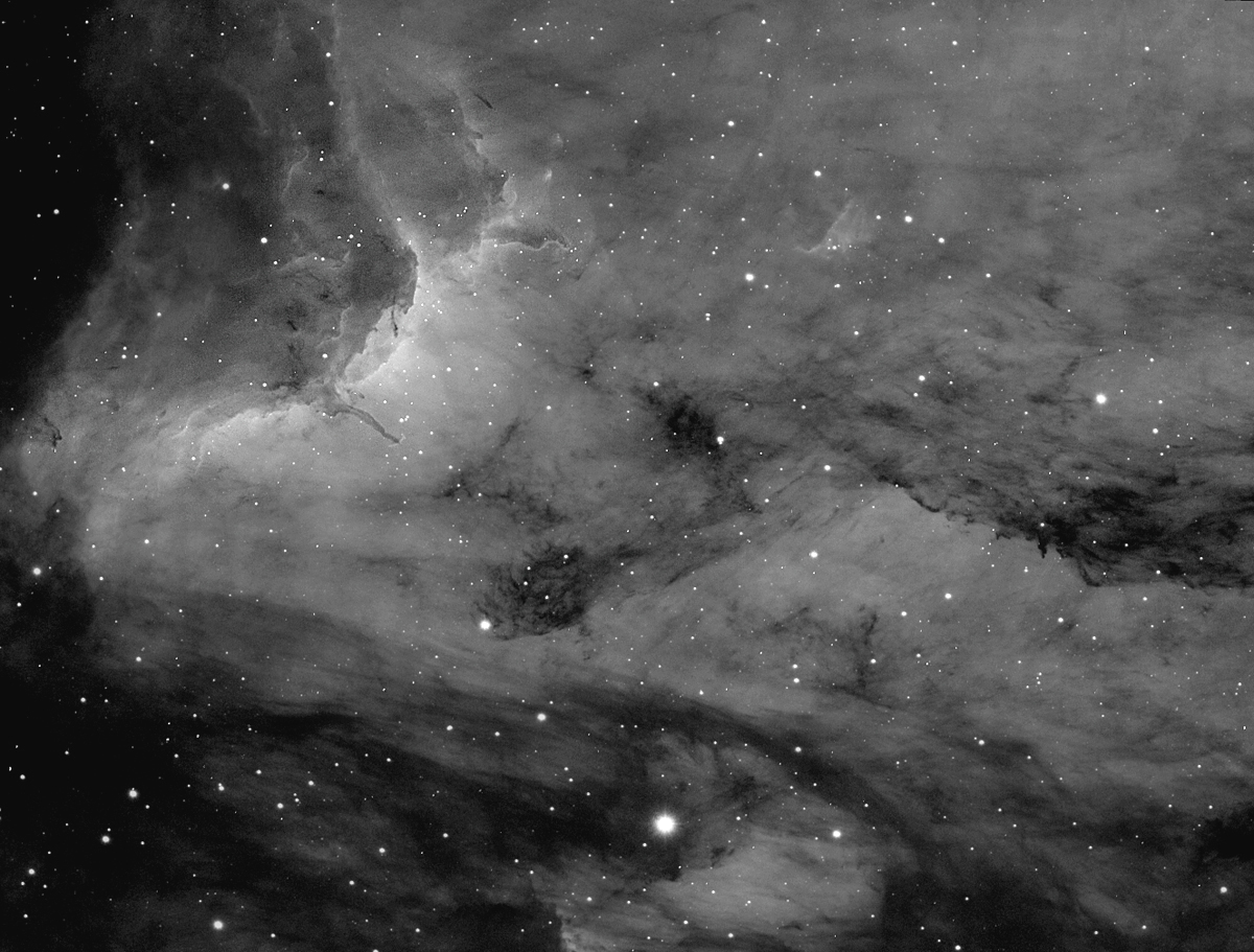 Pelican nebula