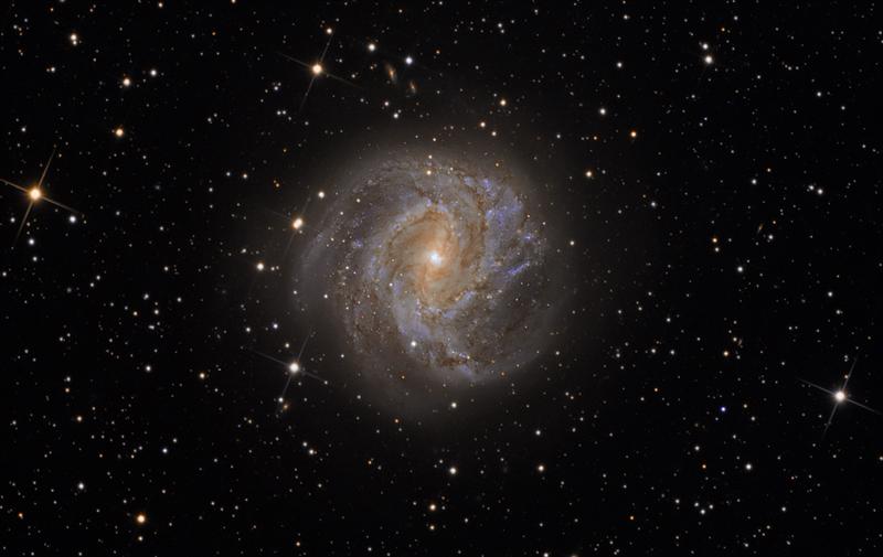 M 83