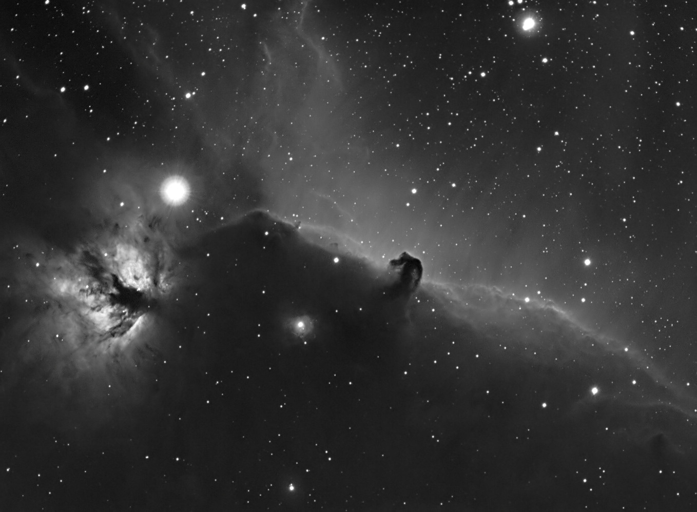 HorseHead Region