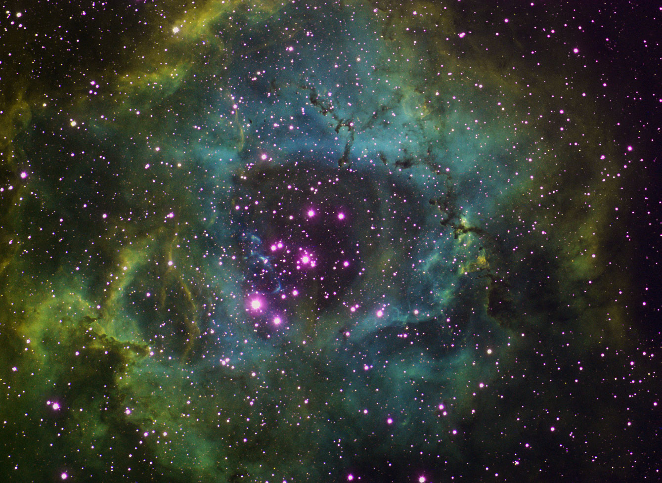 Rosette Narrow Band