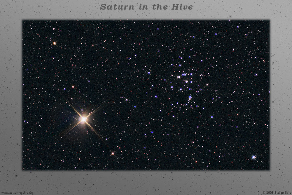 Saturn in the Hive