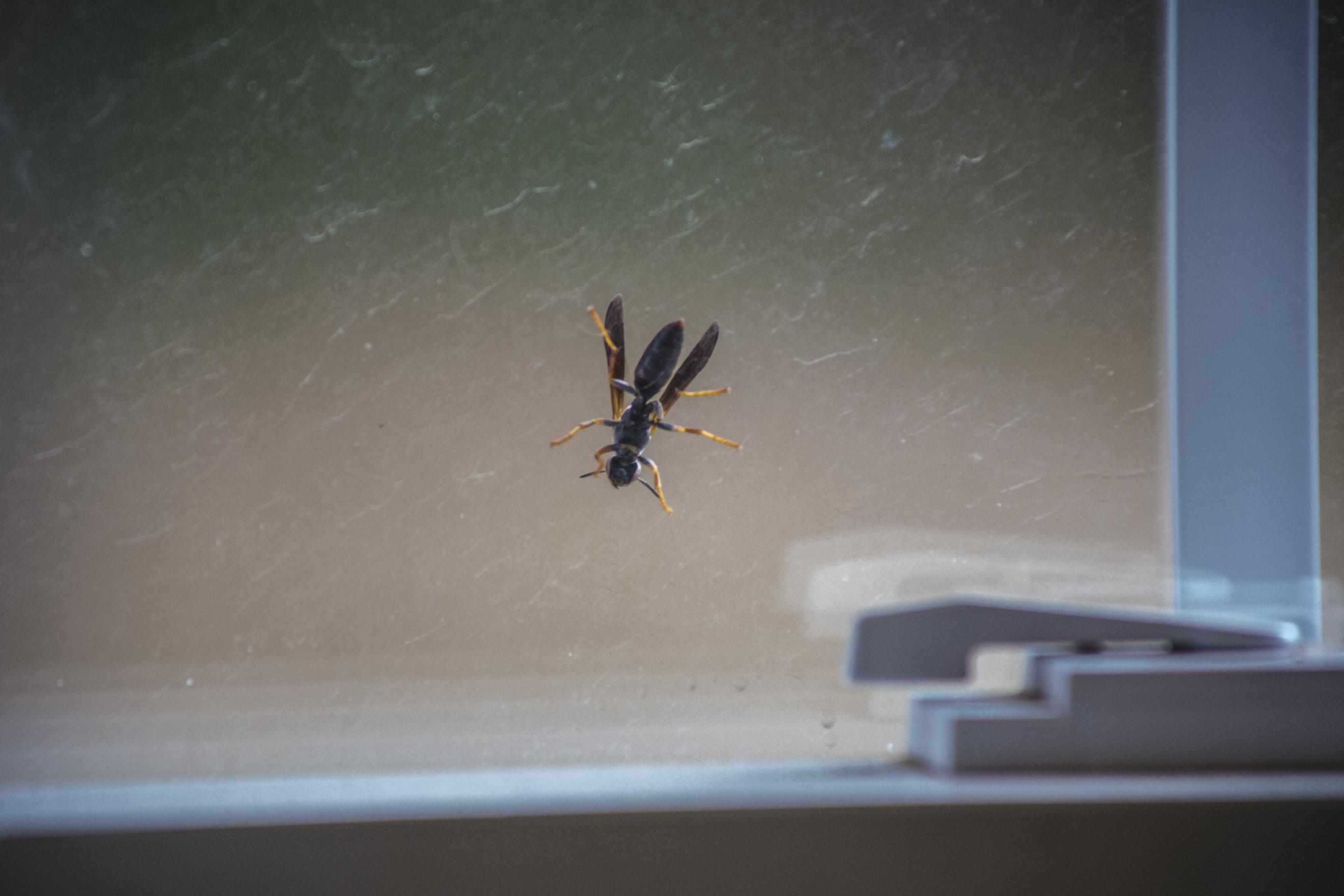 On The Outside Looking In