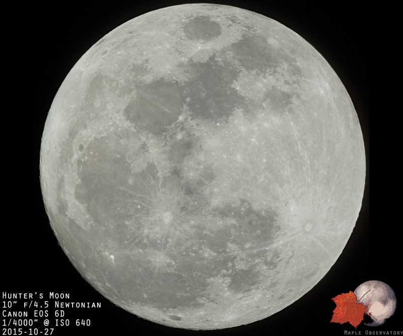 Hunter's Moon