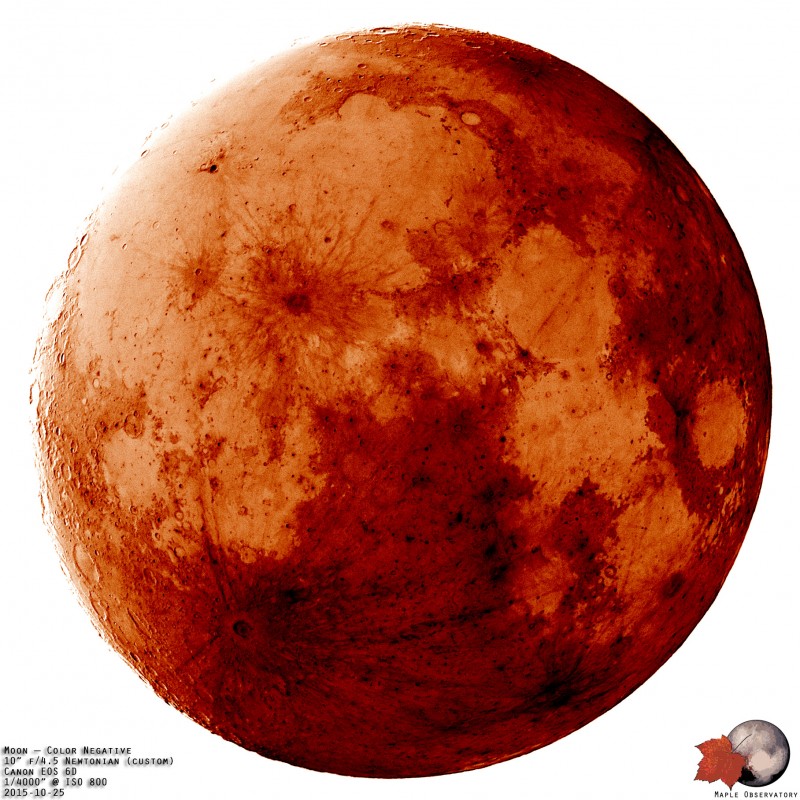 Full Moon - Color Negative