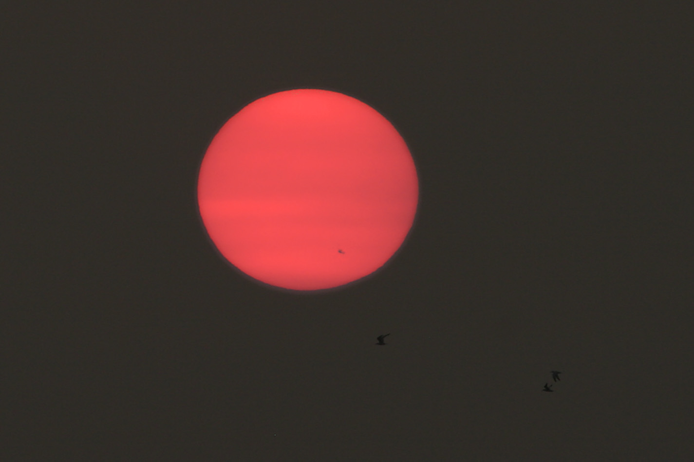 Sunset sunspot