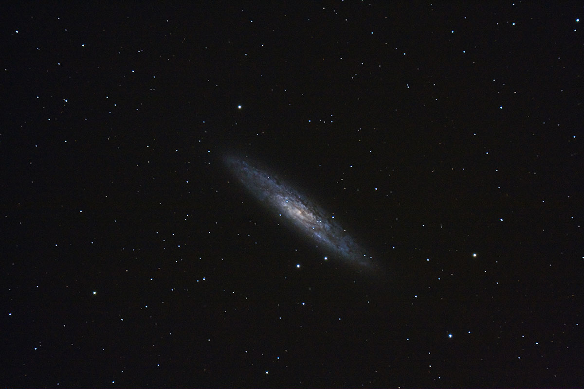 NGC253