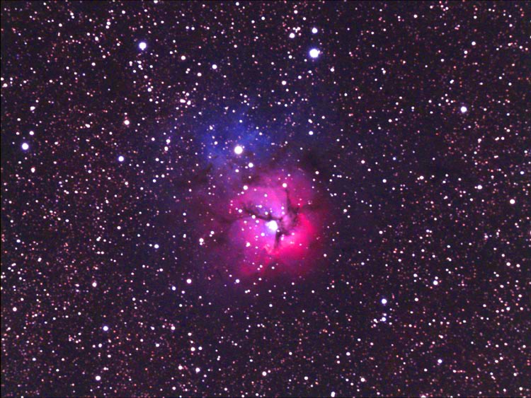 Trifid