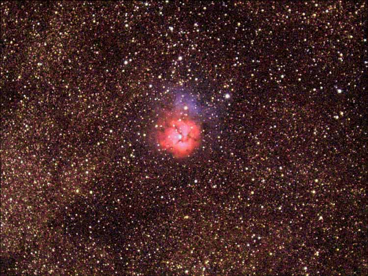 Trifid
