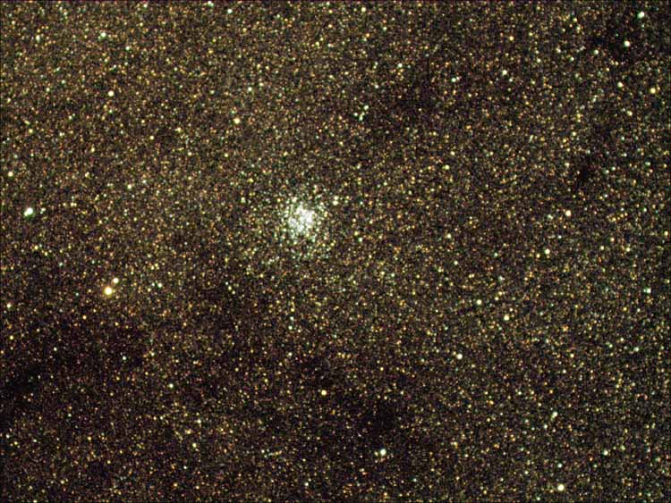 M11
