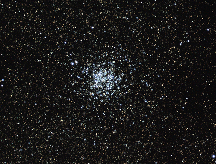 M11