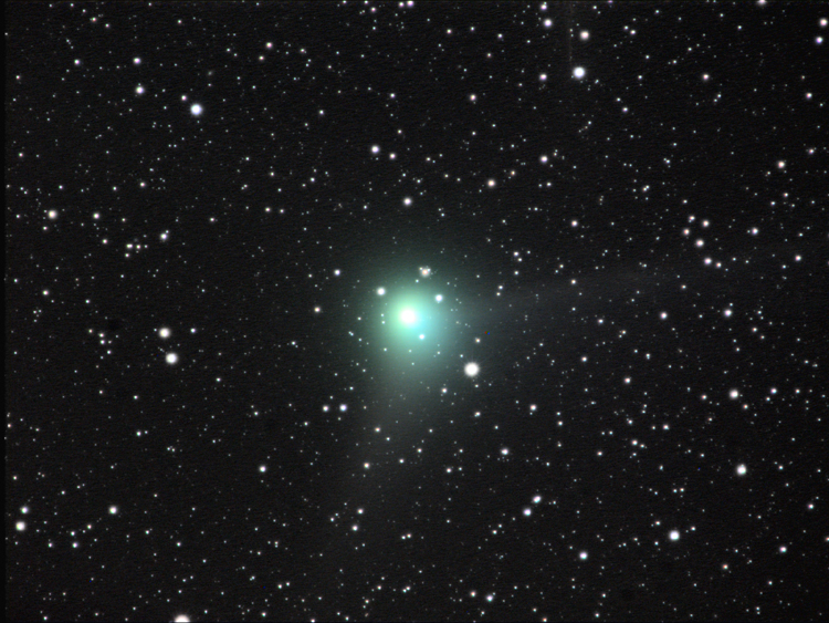 Two Tails of Comet Machholz