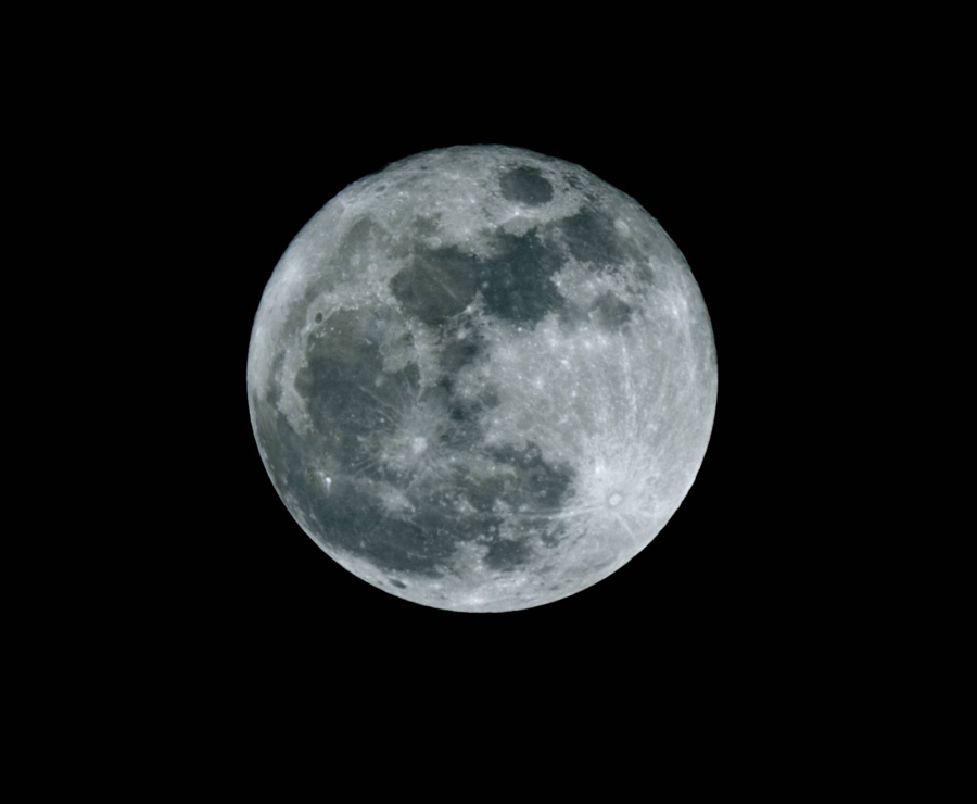 Max Luna