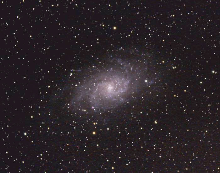 M33