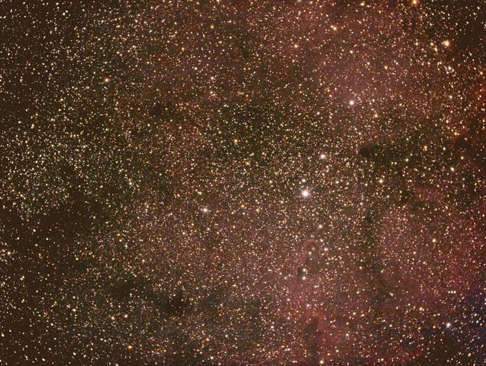 Portions of IC1396