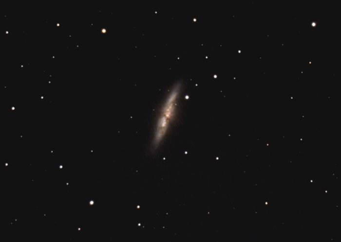 M82