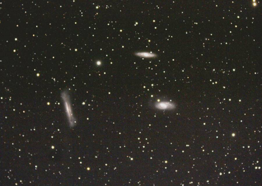 Trio in Leo