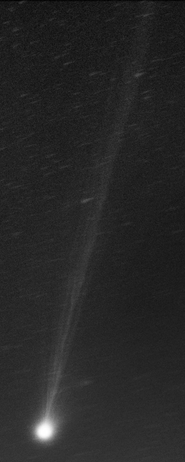 Comet Pojmanski