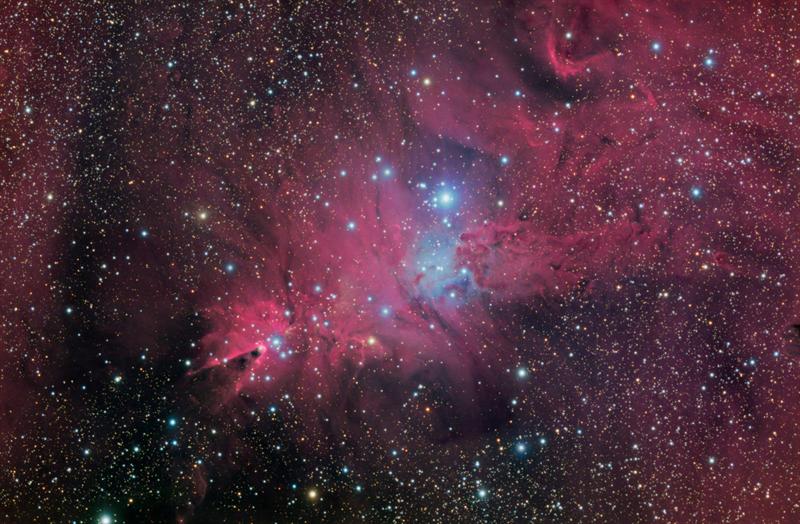 The Cone Nebula HaLRGB