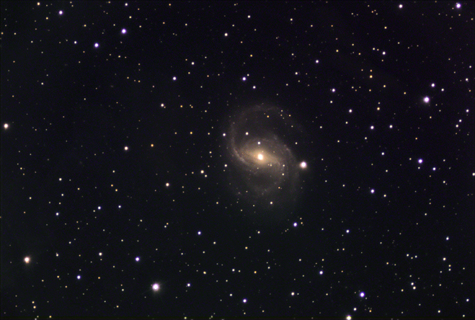 NGC-6951
