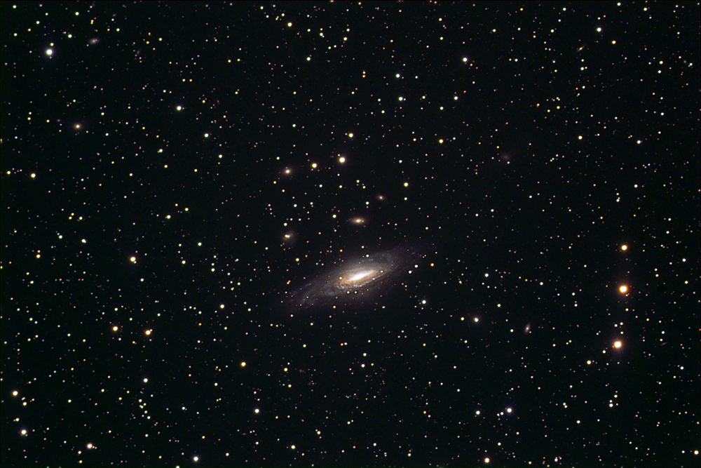 NGC-7331