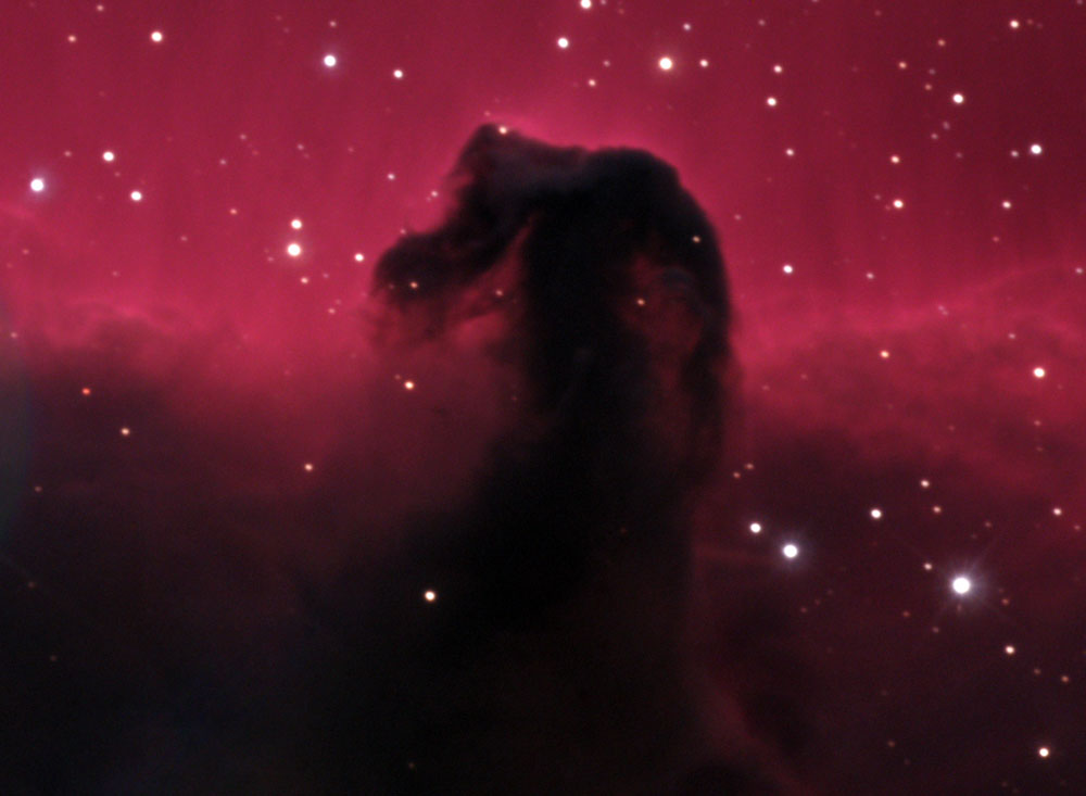 Horsehead