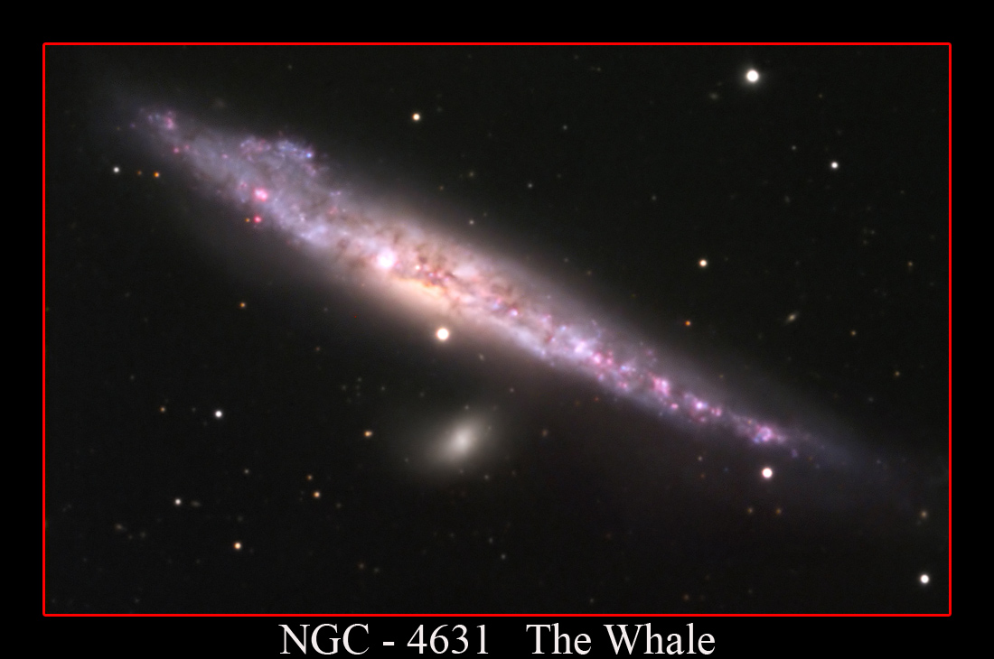 NGC-4631