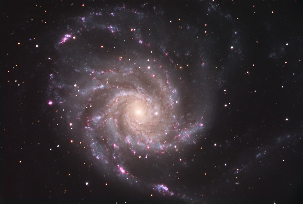 M-101