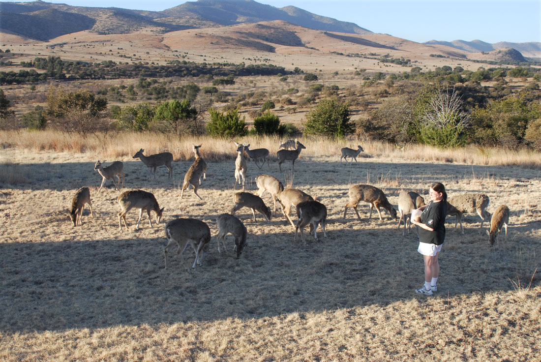Feeding Time