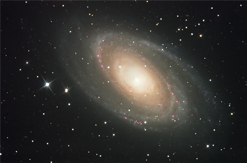 M-81