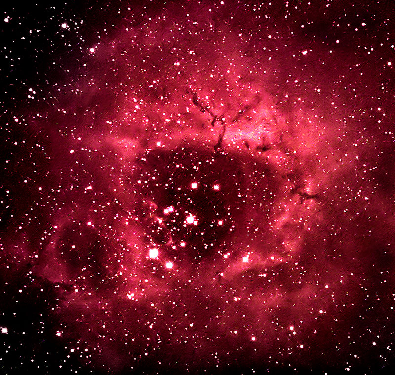 ROSETTE
