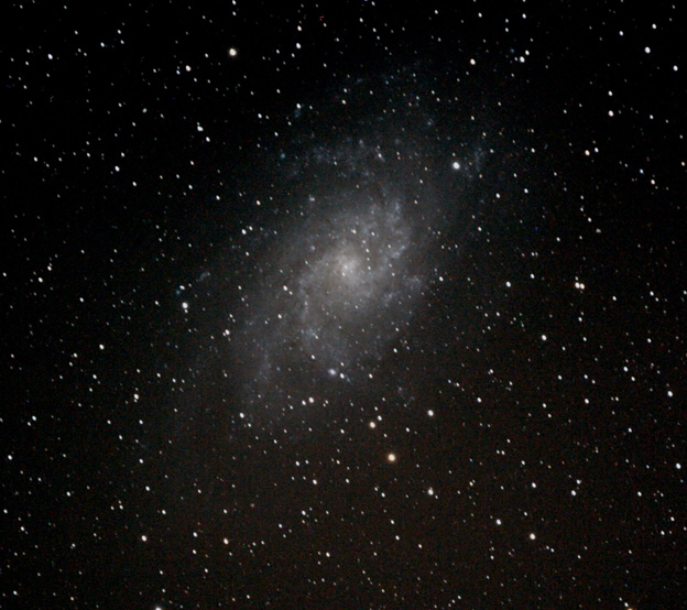 M33