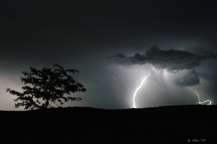 Nebraska Star Pary Storm