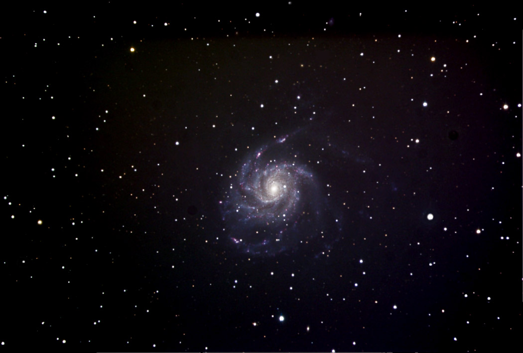 M101 Widefield